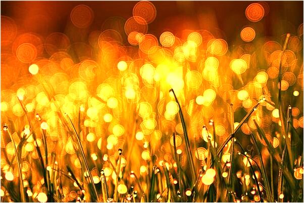 夢到自己有一兒一女會有什麼預兆_周公解夢官網