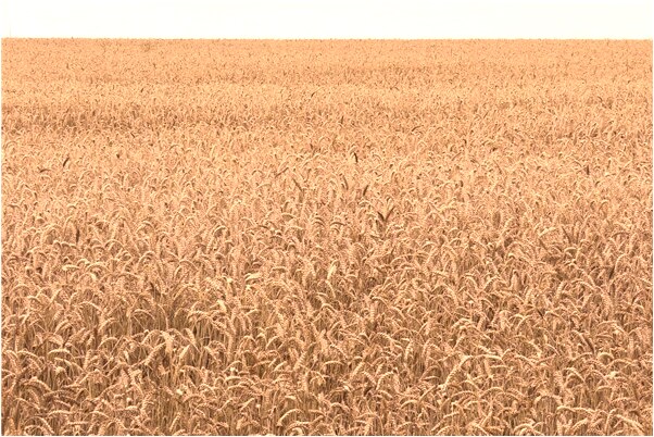 夢見自己弄碎綠色玻璃代表著什麼？_周公解夢官網