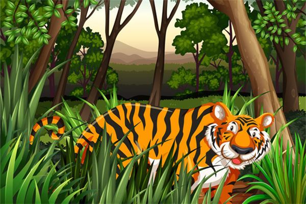 2020屬虎運勢全年_十二生肖