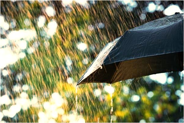 夢到喊妹妹住我家但她不住有何寓意_周公解夢官網