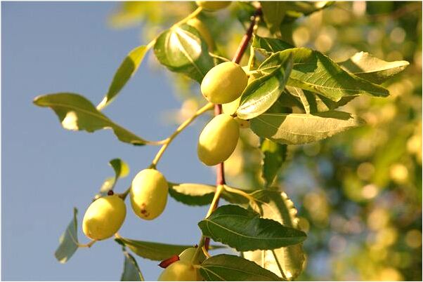 夢到了吃泡泡糖粘手是啥預兆_周公解夢官網