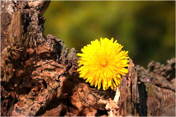 夢到了老婆和別人搞破鞋怎么回事_周公解夢官網