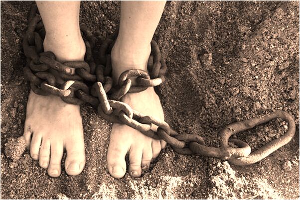 夢見兩隻白貓是好是壞_周公解夢官網