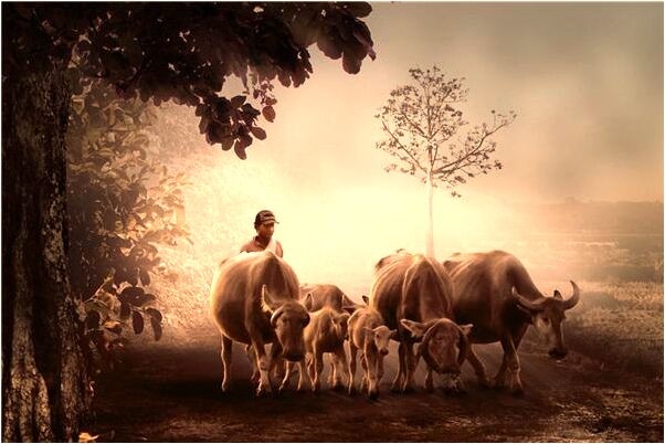 夢見偷草莓還吃了預示著什麼_周公解夢官網