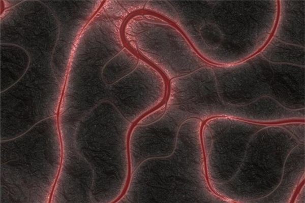 女人夢見自己拉出蛔蟲_周公解夢