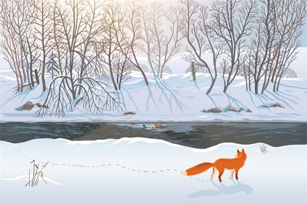 夢見紅色狐狸_周公解夢