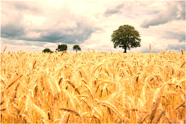 夢見老婆好姐妹老公做愛有什麼意義嗎_周公解夢官網