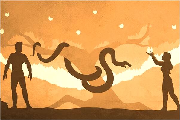 夢到別人摘柿子是好事還是壞事_周公解夢官網