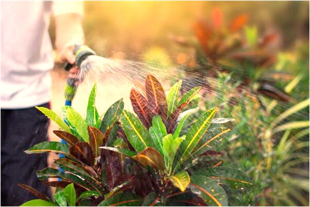 夢到了長滿嘴獠牙的魚咬疼我怎么說_周公解夢官網