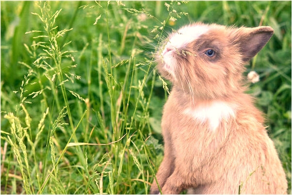 夢到了男朋友說我不好是什麼預兆？_周公解夢官網