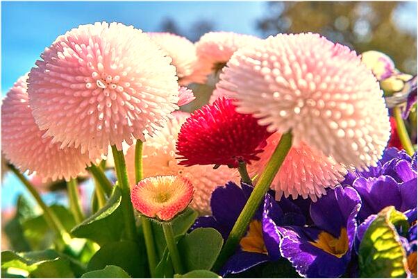 夢見與人換被子意味著什麼_周公解夢官網