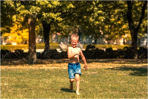 夢見挖個人參娃娃有什麼寓意嗎？_周公解夢官網