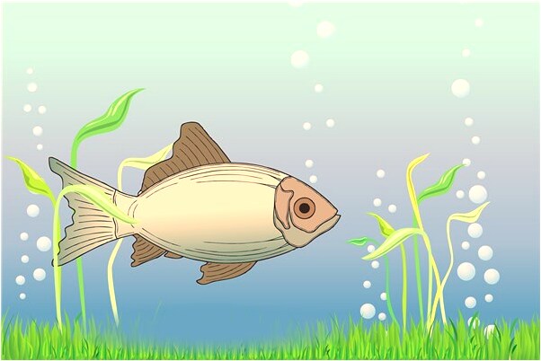 夢見別人家的小孩粘我有什麼徵兆_周公解夢官網