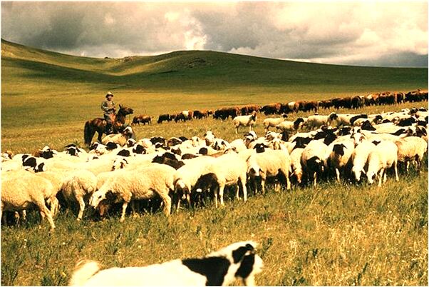 夢到坐船付錢會是什麼預兆_周公解夢官網