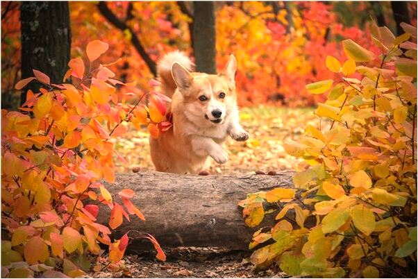 夢到女友繳請看她做愛是什麼意思_周公解夢官網