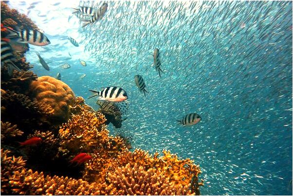 夢見老公性格大變什麼寓意_周公解夢官網