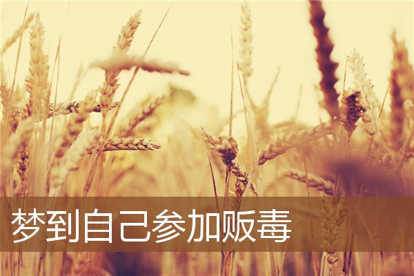 夢到自己參加販毒_周公解夢