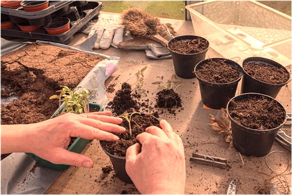 夢到了給已去世的老人辦喪事是什麼啟示_周公解夢官網