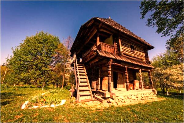 夢到兩個狗做愛是咋回事_周公解夢官網