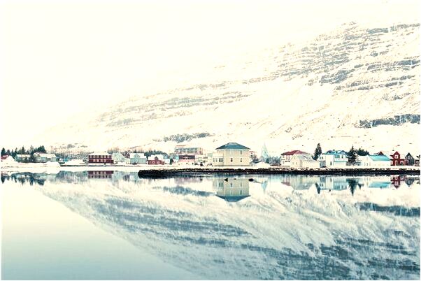 夢到了展覽的白龍變真飛走了有什麼含義_周公解夢官網