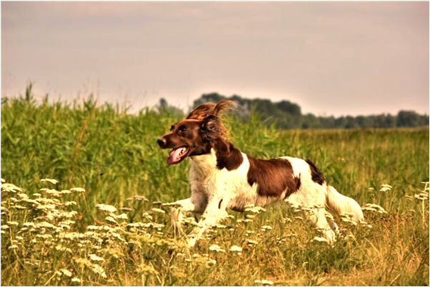 夢到火燒自己腦袋會怎么樣_周公解夢官網