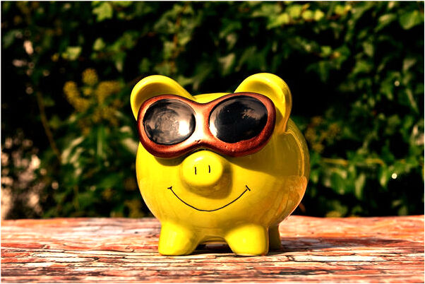 夢到了貓在頭上抓用手往還咬手是啥預兆_周公解夢官網