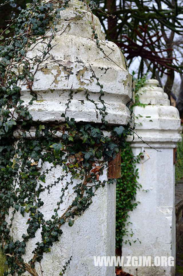 夢見小孩被偷_周公解夢夢到小孩被偷是什麼意思_做夢夢見小孩被偷好不好_周公解夢官網