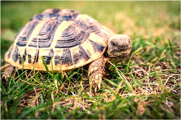 夢見好多人坐在一起吃飯是什麼兆頭_周公解夢官網