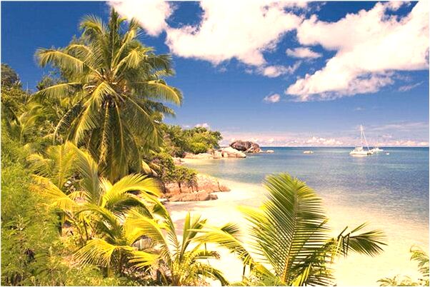 夢到了小雞和小鳥在石洞裡預示什麼_周公解夢官網