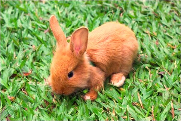 夢到太陽和月亮重合又分開意味著什麼_周公解夢官網