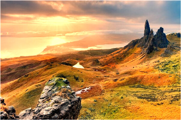 夢見青蛙變石蛙意味著什麼_周公解夢官網