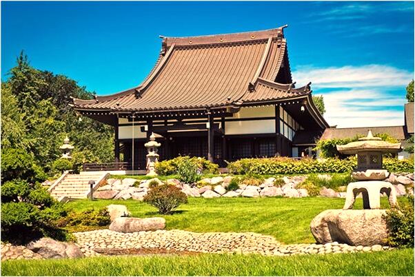 夢到了很多豬掉進糞坑好不好_周公解夢官網