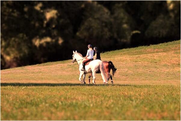 夢到田國玲是什麼徵兆_周公解夢官網