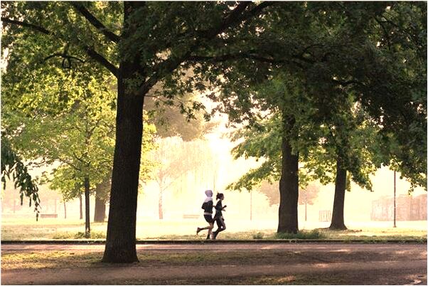 夢見崎嶇的樓梯是凶兆還是吉兆_周公解夢官網