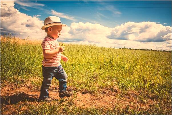 夢到了自己開車看到一截胳膊是好是壞_周公解夢官網