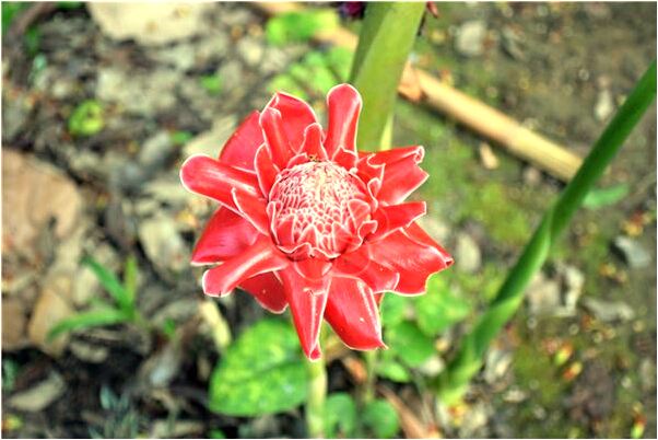 夢到了與人握手是好的徵兆嗎_周公解夢官網