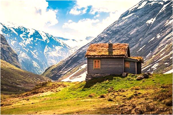 夢到了在自己屁股里拔辣椒有什麼意思嗎_周公解夢官網