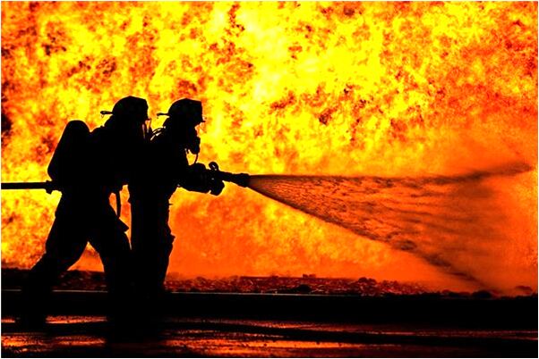 夢見倒了的樹在跑是什麼意思？_周公解夢官網