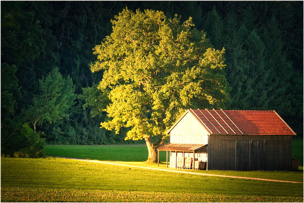 夢到了捅破一窩五彩蛇蛋怎么回事_周公解夢官網
