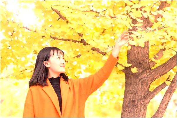 夢到老蛇在床底是什麼兆頭_周公解夢官網