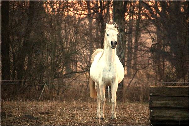 夢到死去所有親人在老屋是吉兆嗎?_周公解夢官網