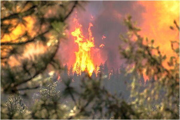夢見黃金蟒換皮有什麼預兆_周公解夢官網