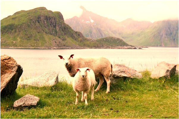夢到自己在接腿骨是什麼預兆？_周公解夢官網