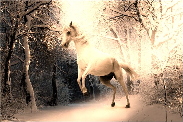 夢見在女人的墳前哭泣是啥預兆_周公解夢官網