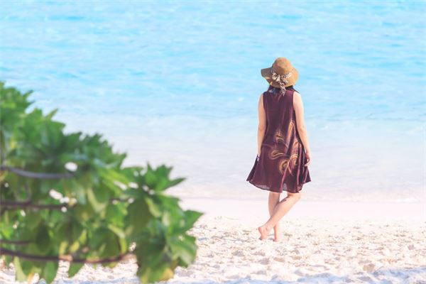 屬羊2020年躲星表_十二生肖