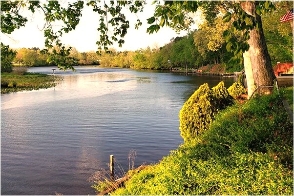 夢到老家很多蛇什麼預兆_周公解夢官網