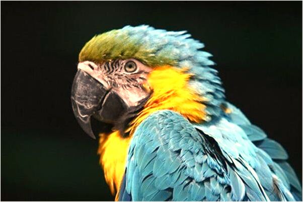 夢到所有的人都不要我是好是壞_周公解夢官網