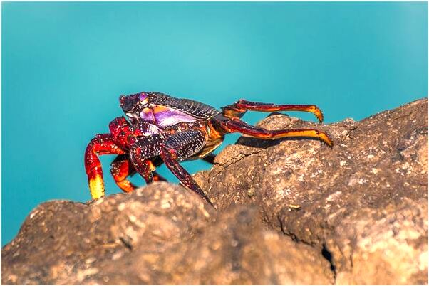 夢見朋友親人要死了代表著什麼_周公解夢官網