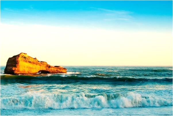 夢到了蛇和蜈蚣在身上爬是咋回事_周公解夢官網