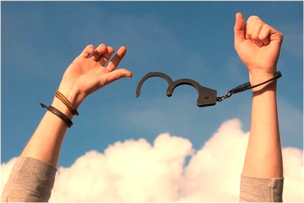 夢見一袋子死貓臭了活貓抓破手有什麼寓意嗎？_周公解夢官網